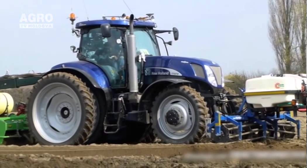 Perioada favorabilă pentru plantarea cartofului timpuriu
