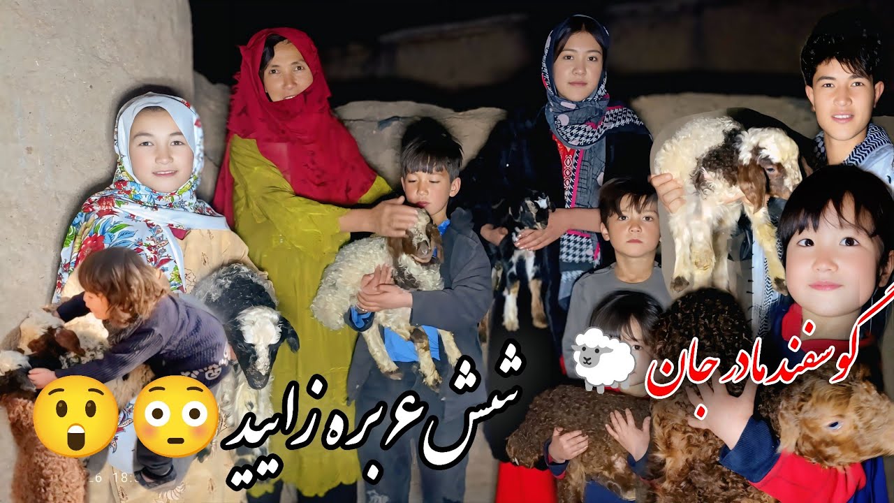 خوشحالی فامیل ما بهتربن روز زندگی فامیل ما 😲😳