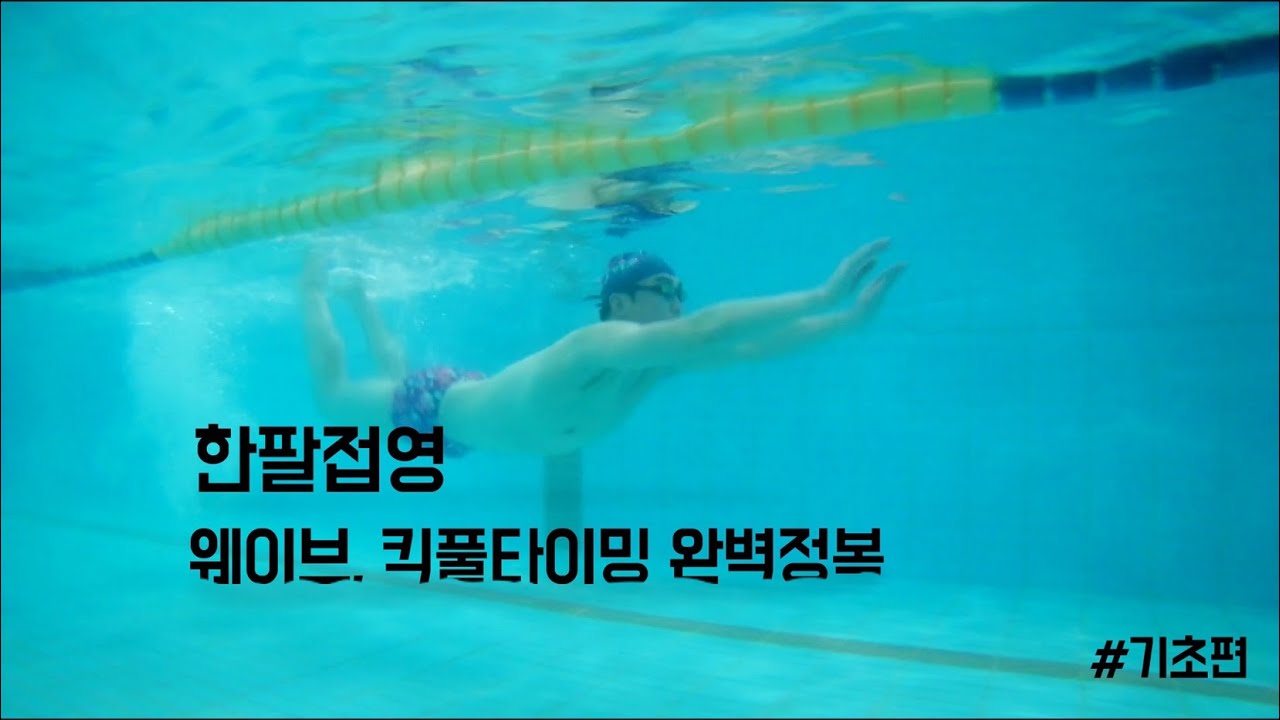 [접영 한팔접영] 웨이브, 킥풀타이밍 원리 이해하고 쉽게 끝내보자!