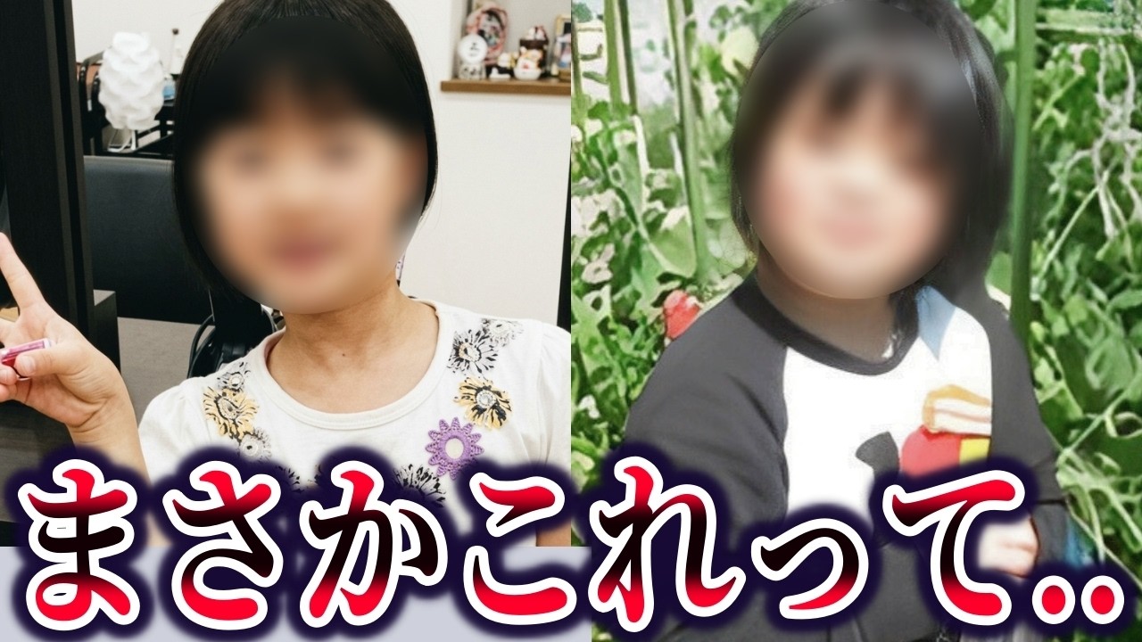 【総集編】闇が深すぎる少女の行方不明事件【ゆっくり解説】