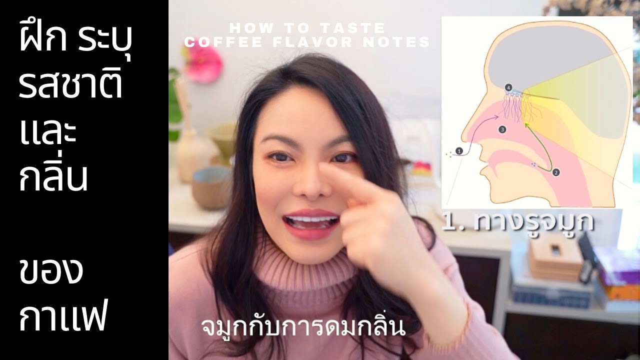 Coffee Flavor notes เปิดโครตเคล็ดลับ จับกลิ่นบอกรส กาแฟ เก่งเร็ว ! ต้องดู ฝึกยังไง ดมกลิ่น + รส5 รส