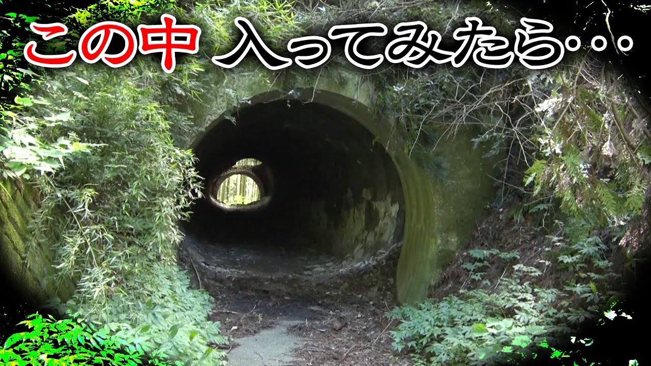 【石川】道マニア界にファン多数！イケメン隧道！？