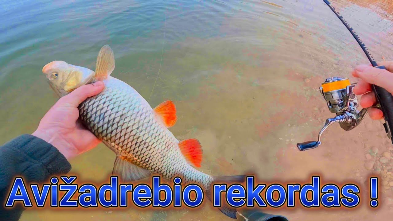 Naujų vietų paieška. NAUJAS ŽUVIES REKORDAS ANT AVIŽADREBIO!!!