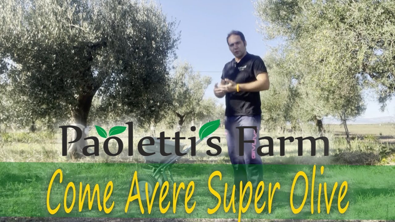 Più Sostanza Organica per Produrre Super Olive