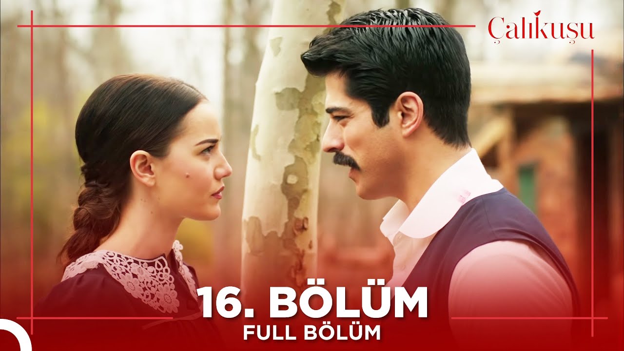 Çalıkuşu 16.Bölüm
