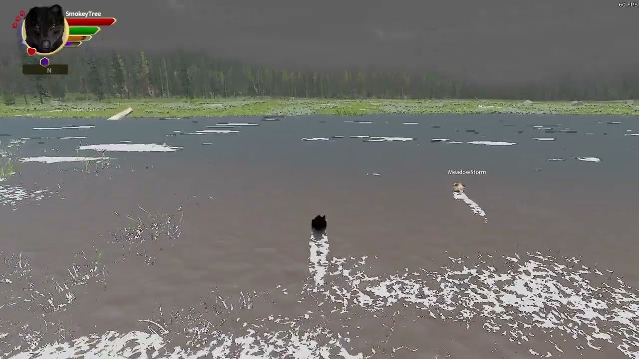 WolfQuest, the beginnings of the Meadow Pack: episode three