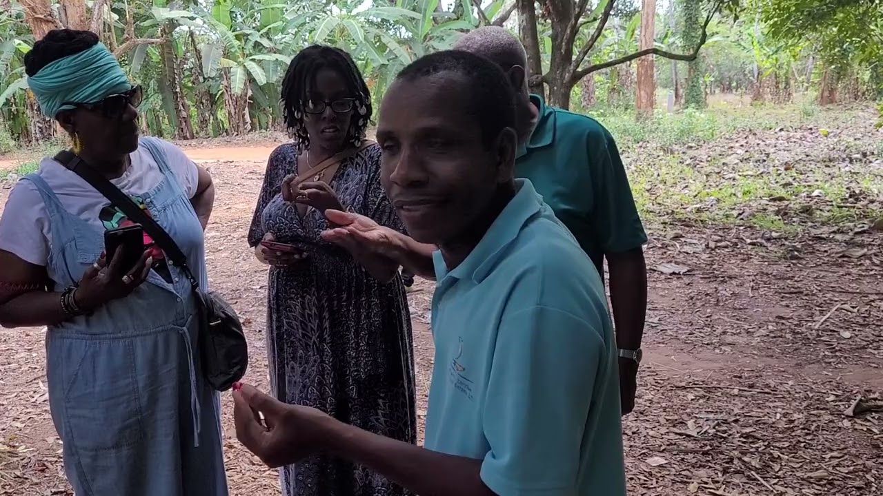 Nutmeg Spice Presentation at Farm on Zanzibar Island - Tanzania Nov 2021 Roots & Culture Journey