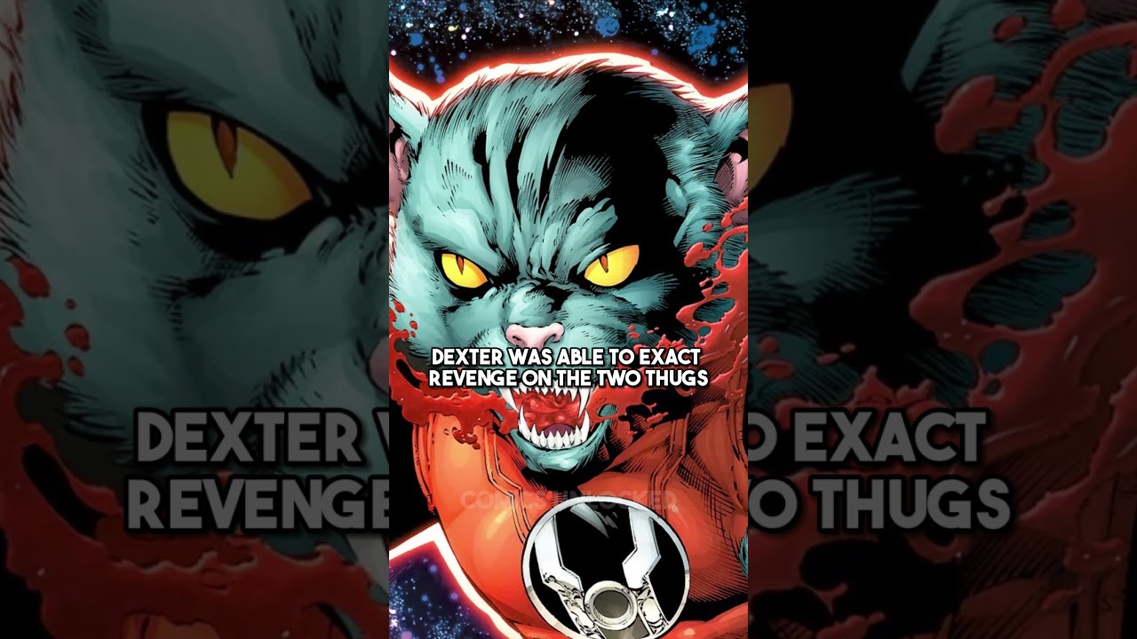 House Cat Becomes a Red Lantern