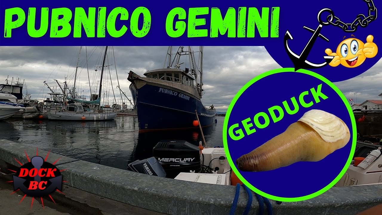 Pubnico Gemini / Dock BC