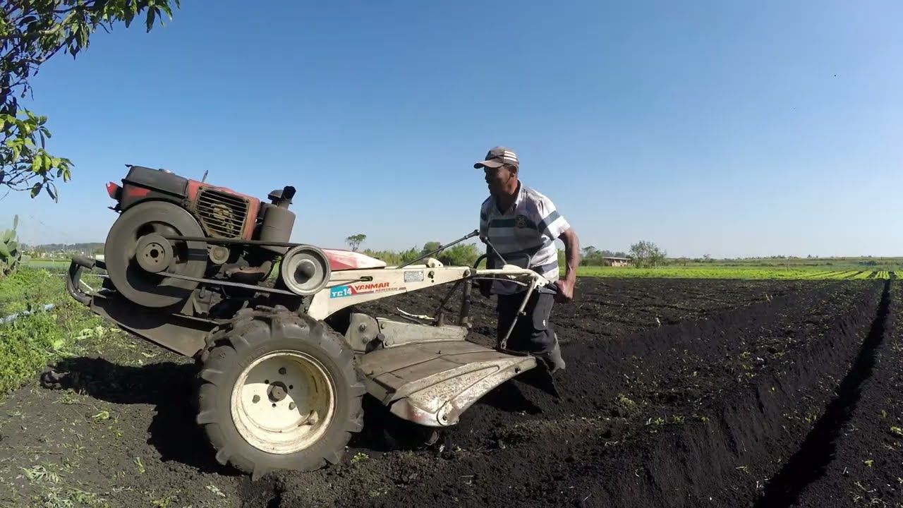 CANTEIRO DE HORTA FEITO NO TOBATA, ESSE É UM YANMAR TC 14 MUITO BEM CONSERVADO DO PIO E SEU 