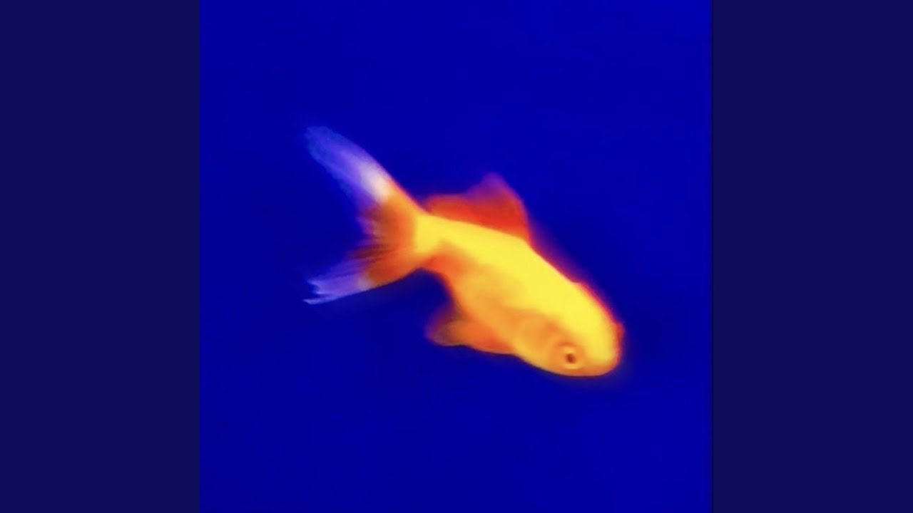 Fat Fish (feat. Zone1eriic, Stikkhead & Souljaspirits)