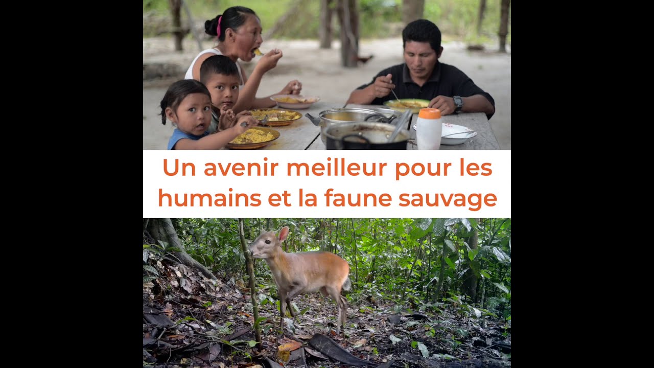 Un avenir meilleur pour les humains et la faune sauvage -#SWMProgramme