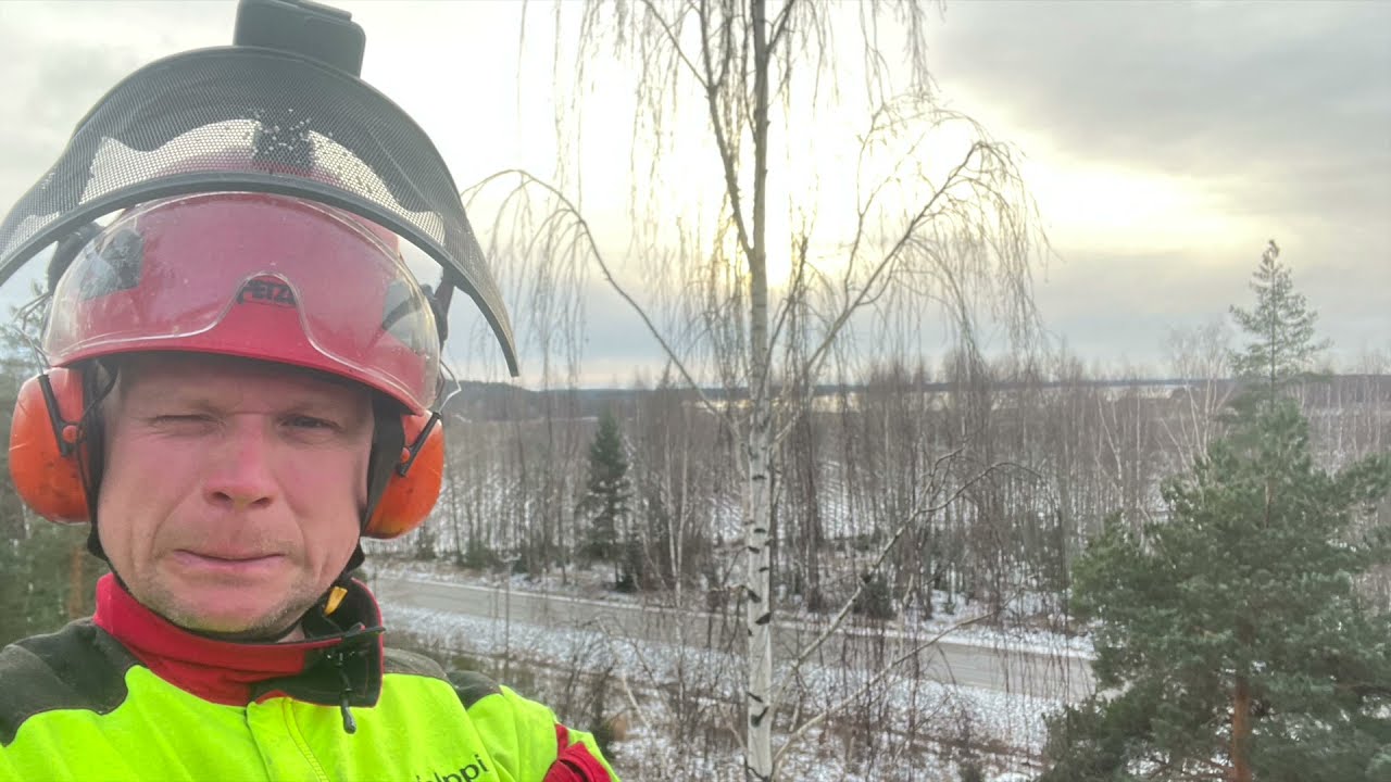 Ei mittää järkee,sormettii ihan jäässä🥶😱.Lumberjack And Freezing Wind. ECHO 2511 / HUSQVARNA 572xp