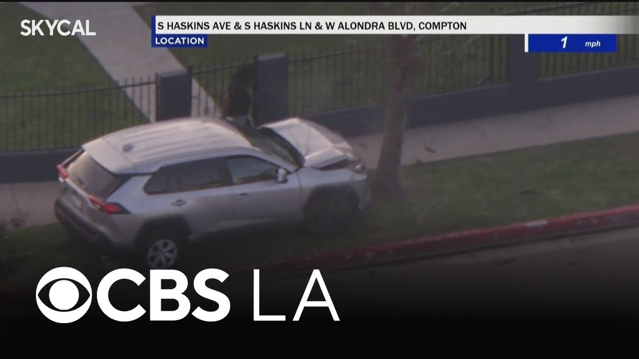 Pursuit with grand theft auto suspect ends with crash into Compton tree