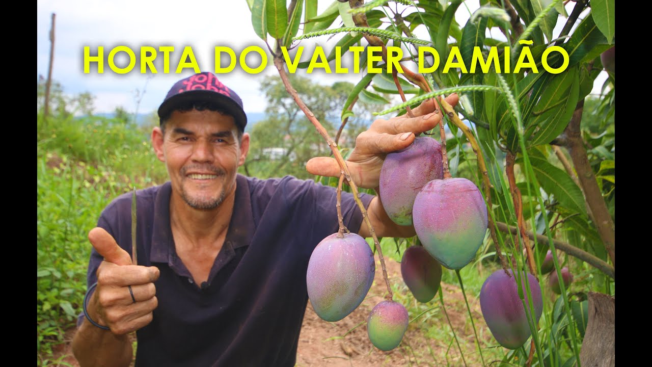 Horta Orgânica do Valter Damião, Boas Festas