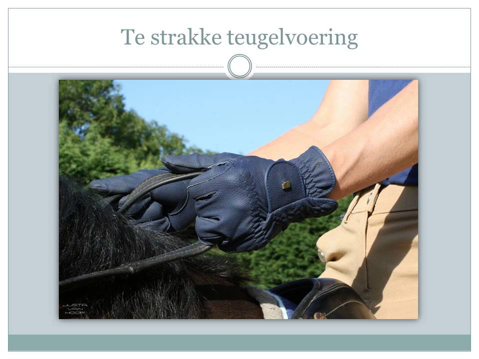 Ruitergevoeltips teugelvoering