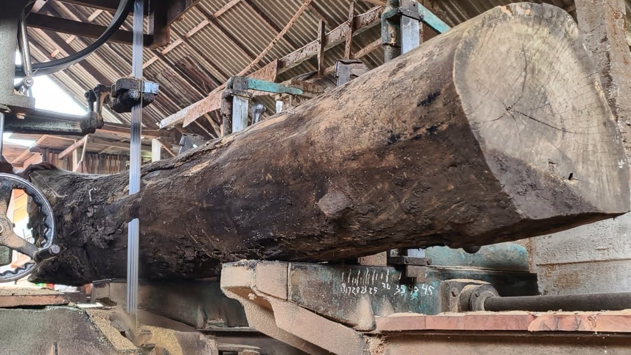 The process of sawing dry teak wood is interesting to watch