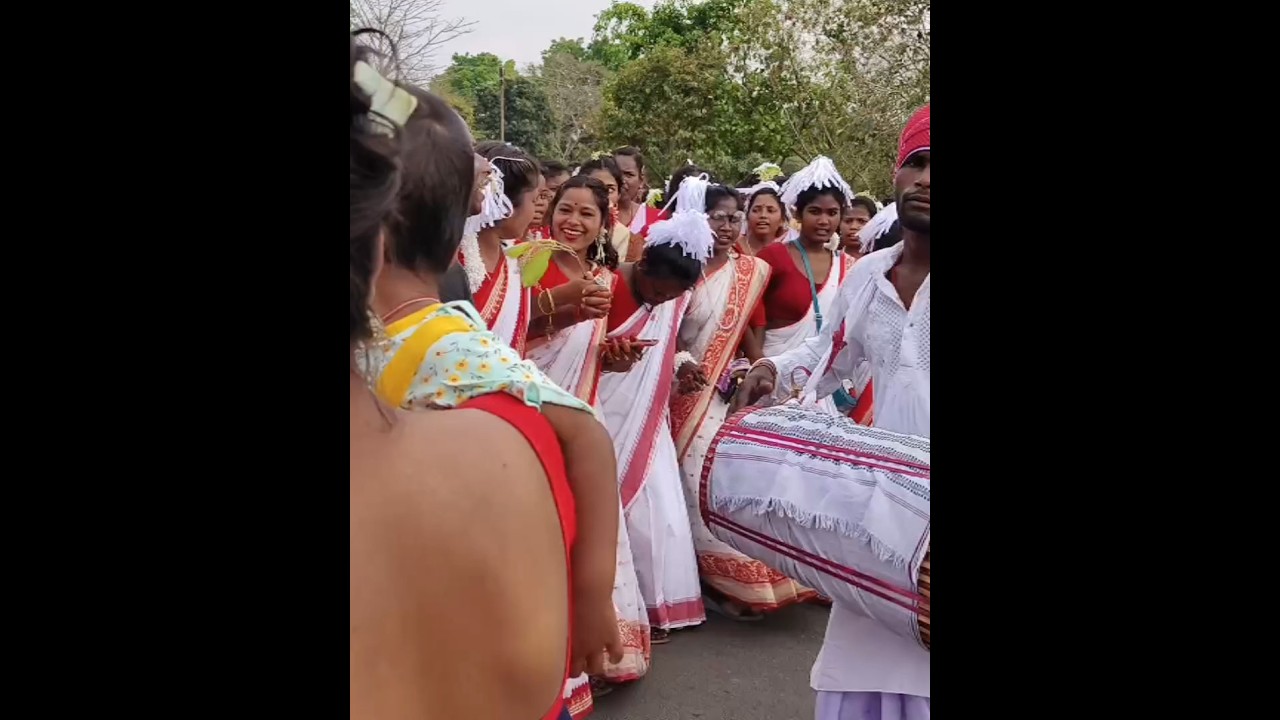 sarhul song gumla sarhul 2023 #shortsviral #video @suchilakra3653