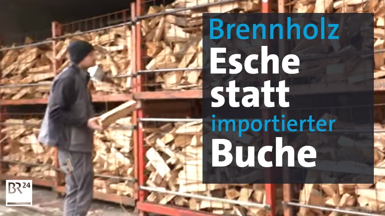 Nachhaltig heizen mit Eschenholz | Abendschau | BR24