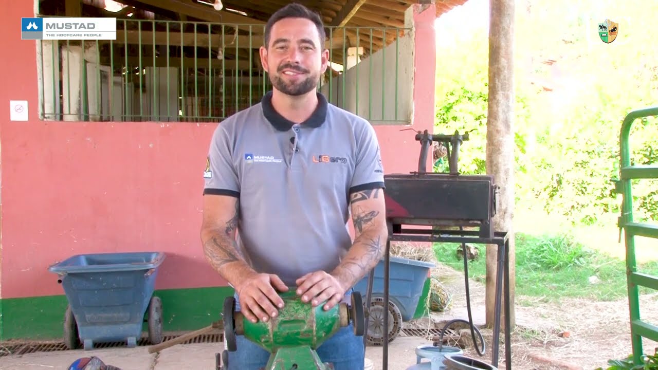 TV UC - Equipamentos para completar o kit do ferrador