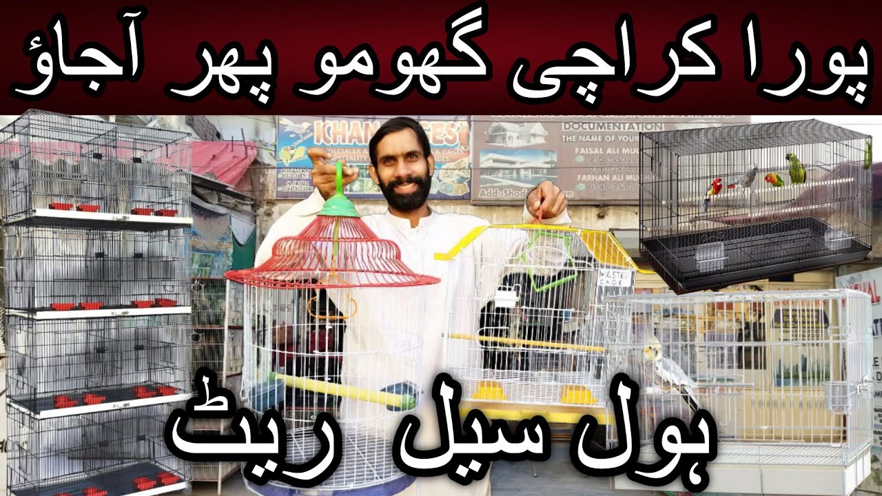 Karachi me saste cages ki dokan dhond nikali | Cheap price birds | Cages | Folding cage | Birds
