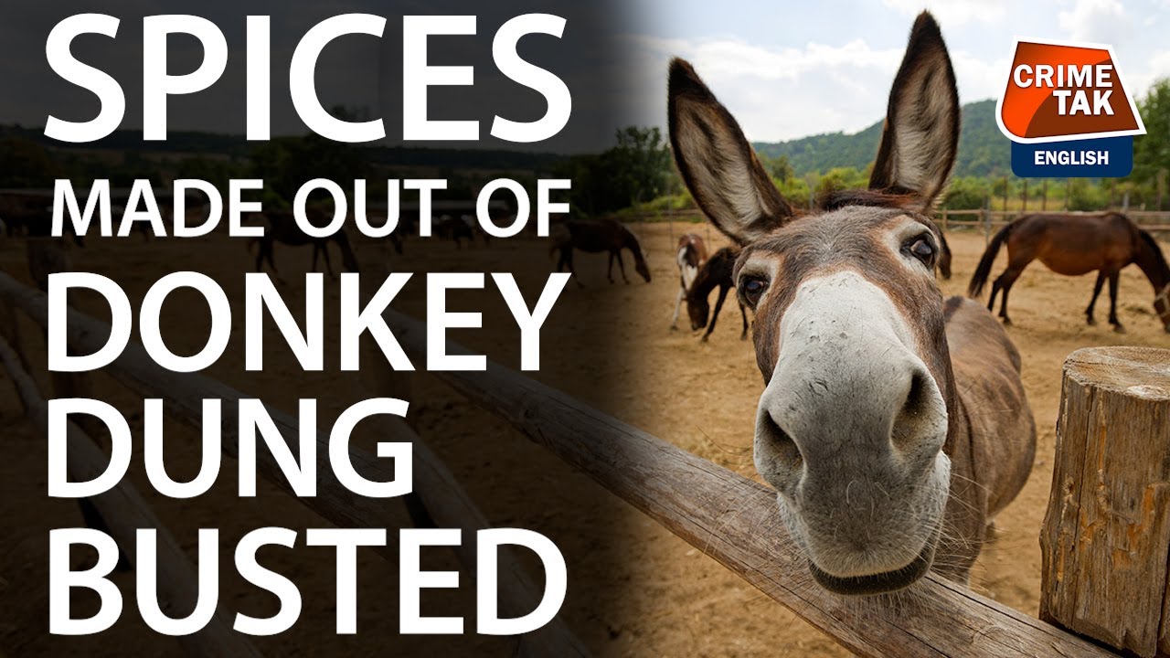 Spices made out of donkey dung discovered in Hathras factory, owner arrested | CRIMETAK ENGLISH