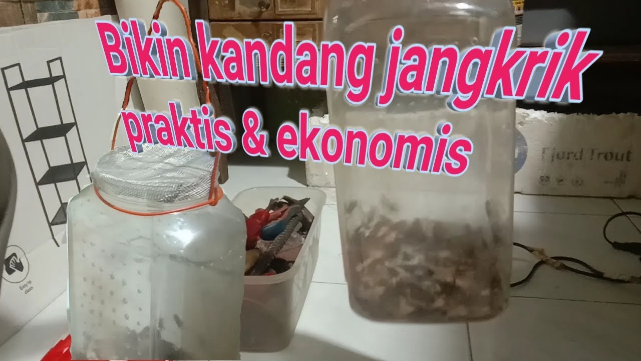 bikin kandang jangkrik alakadarnya...