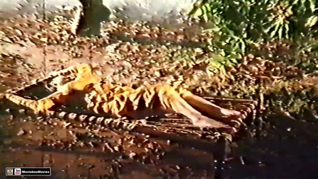 CHOORAY WALI BANH KARAY PAYI CHAN CHAN - SAIMA - NOOR JEHAN - FILM GUJJAR PUNJAB DA