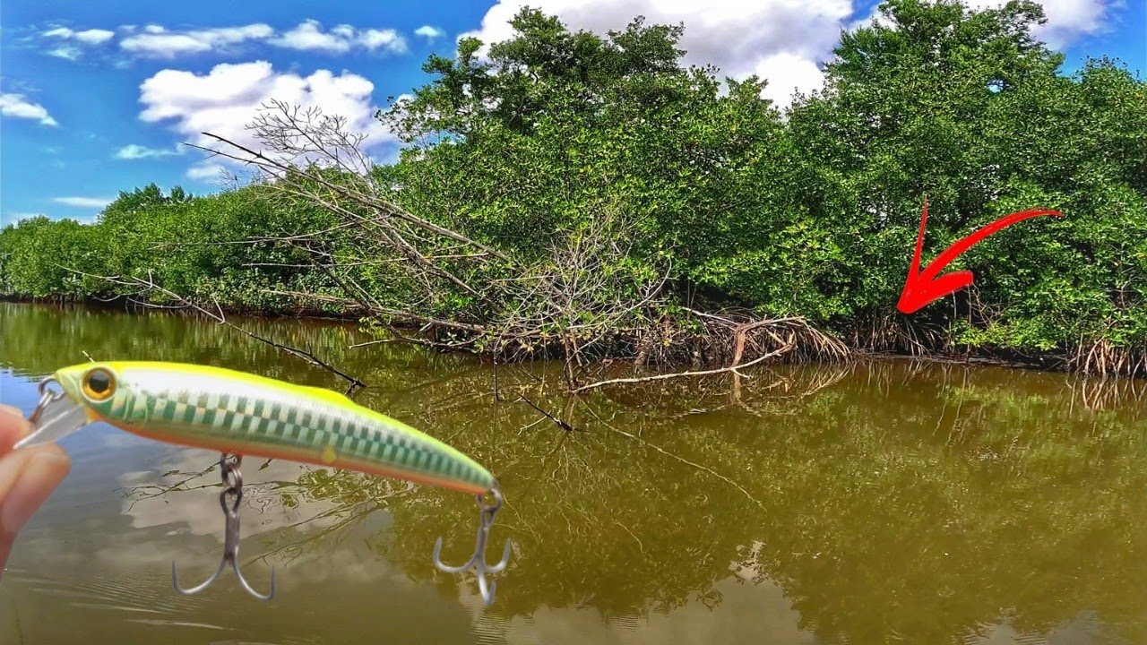🔥 SAIBA onde aplicar essa Isca e se SURPREENDE com o resultado!! Pescaria de ROBALO no Mangue