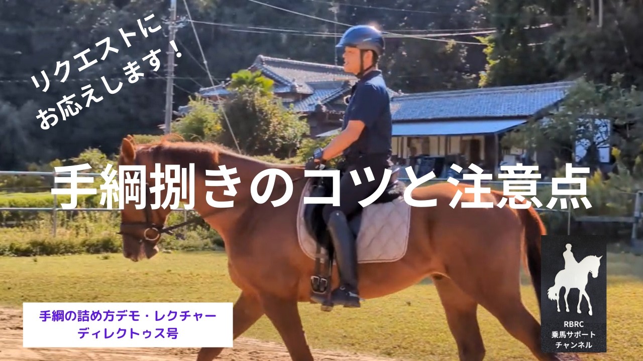 【乗馬】手綱が長いと良く注意される方、短くすると馬に反抗される方、上手に短くできない方必見！手綱の詰め方のコツと注意点をご紹介します。【リクエスト】