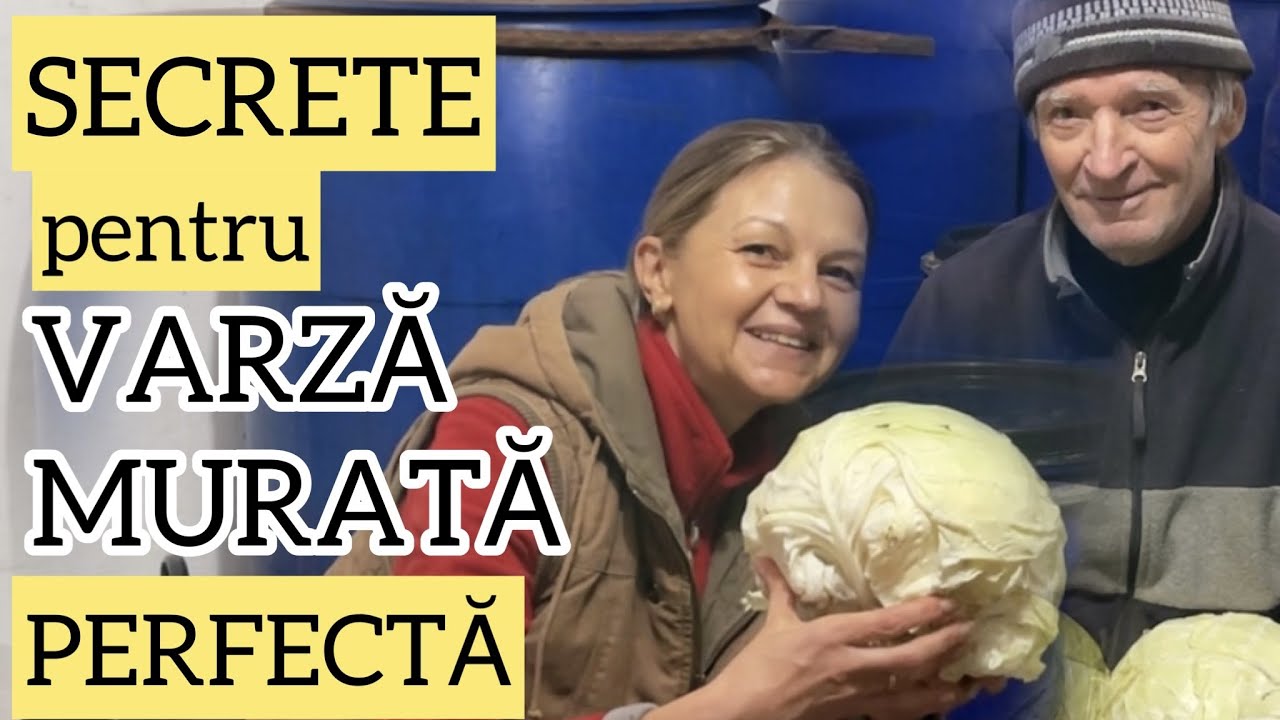 Cum se pune varza la murat. Secretele lui Bunu pentru varza murata si moare perfecte