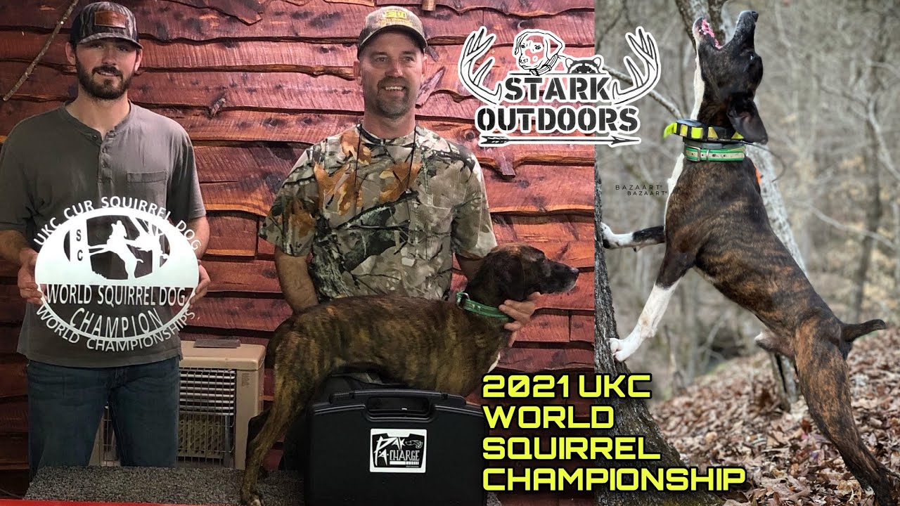 2021 UKC World Squirrel Hunt