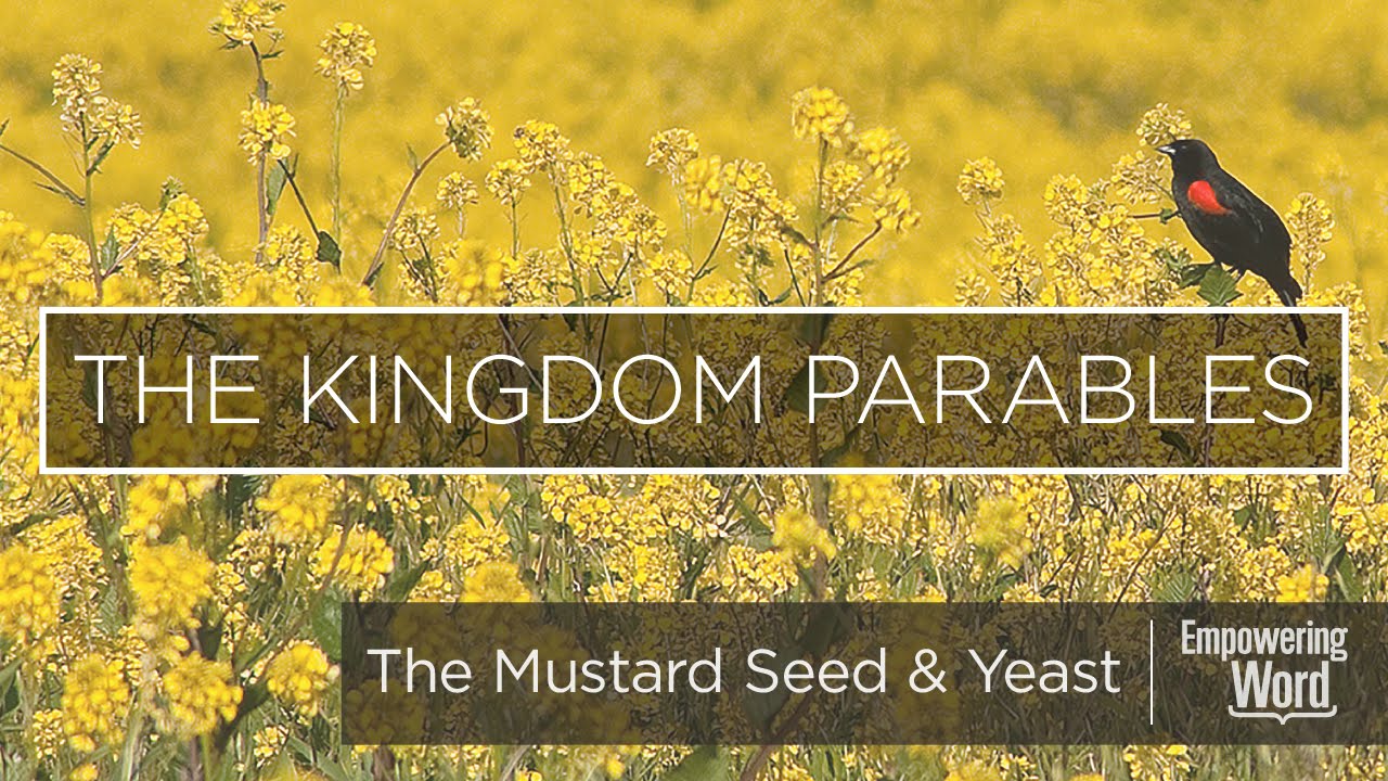 The Kingdom Parables - The Mustard Seed and Yeast