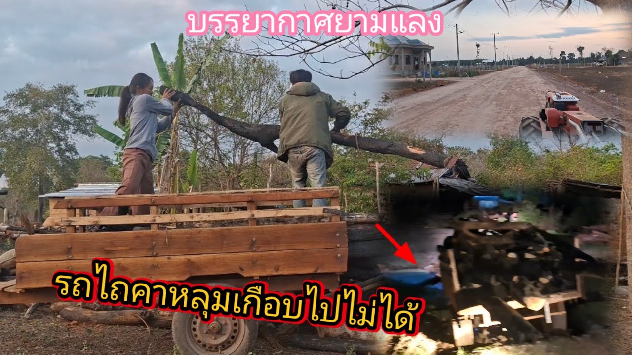 ขนไม้รอบแลงจนมืด  รถไถคาเกือบไปไม่?? 13 มีนาคม ค.ศ. 2026