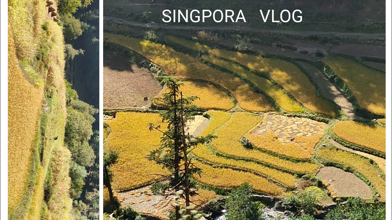 SINGPORA  VLOG 11