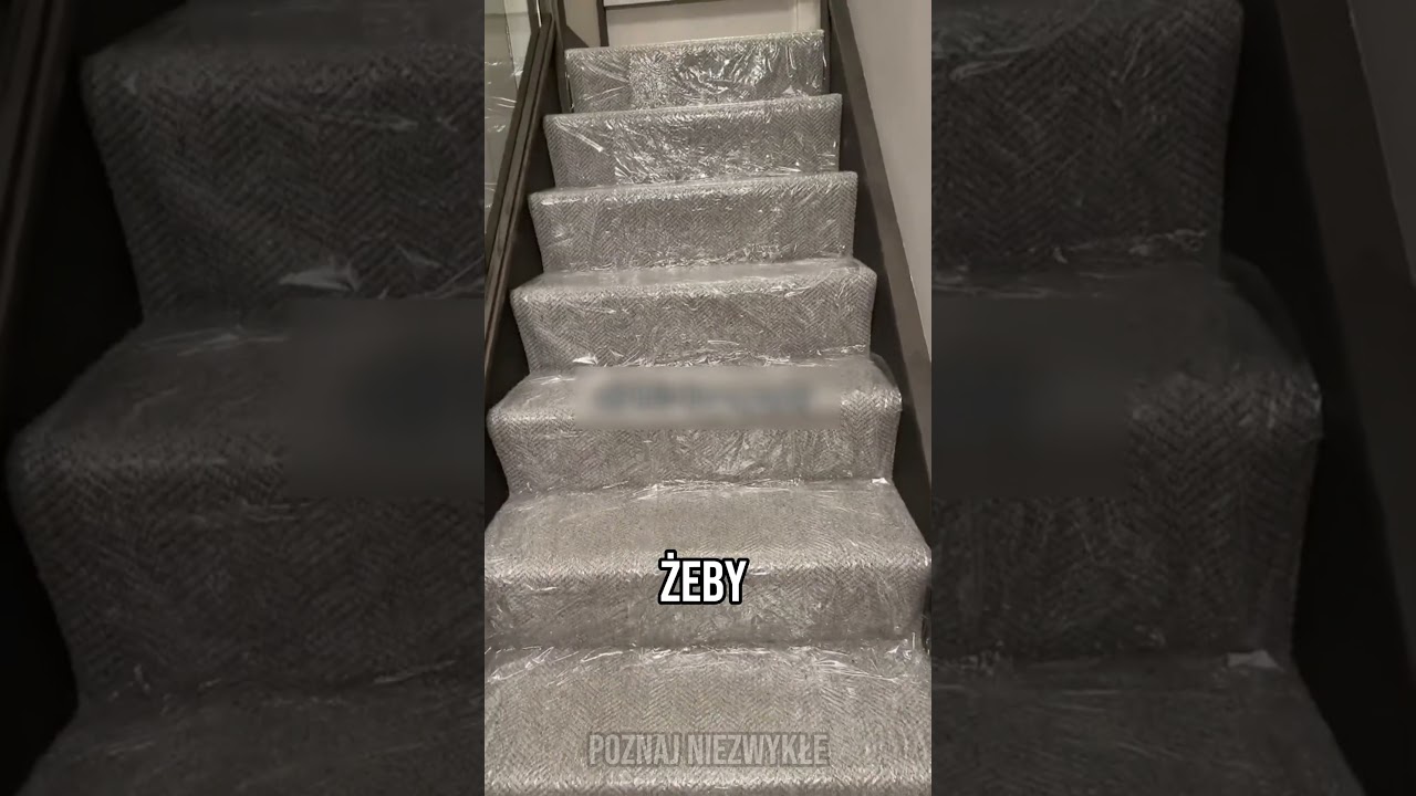 Impreza jak u Dextera! 🍾