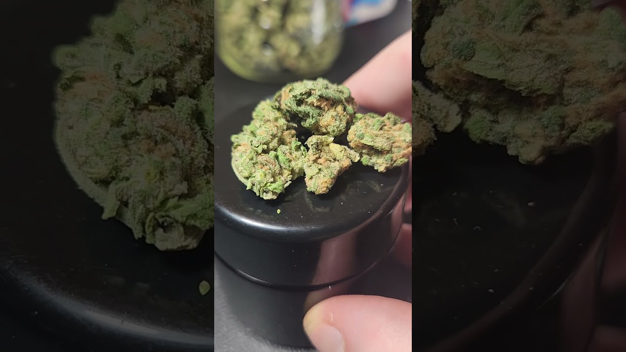 Handcrafted Farmers Cement Shoes Strain Close-Up