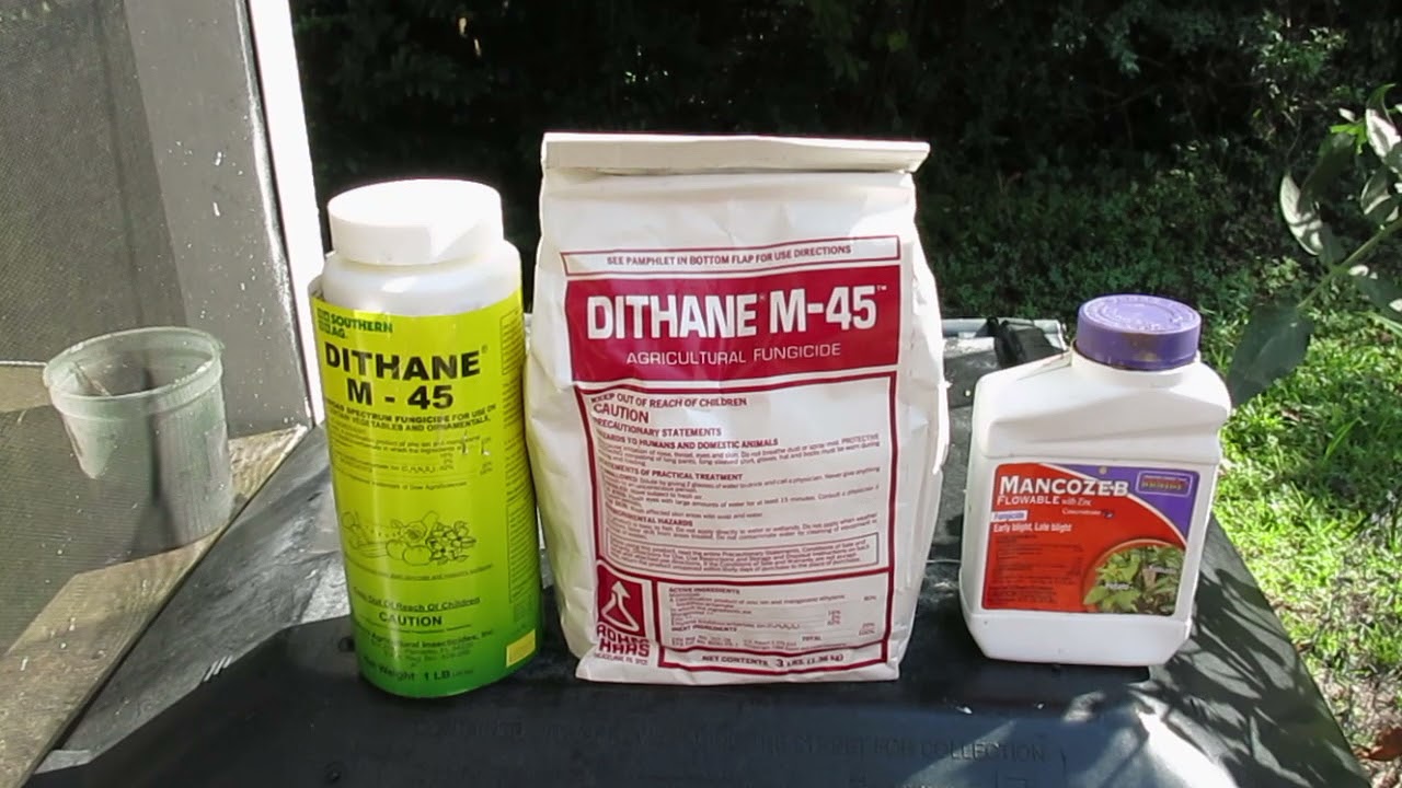 Mancozeb and Garden Update Part 1