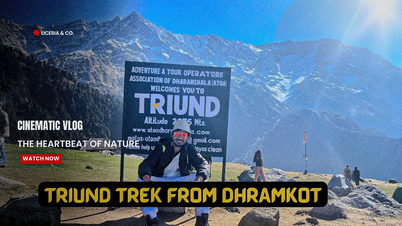 Triund Trek from Dharamkot Full informative video | beginner सिर्फ  Dharamkot वाले रास्ते se ही आये