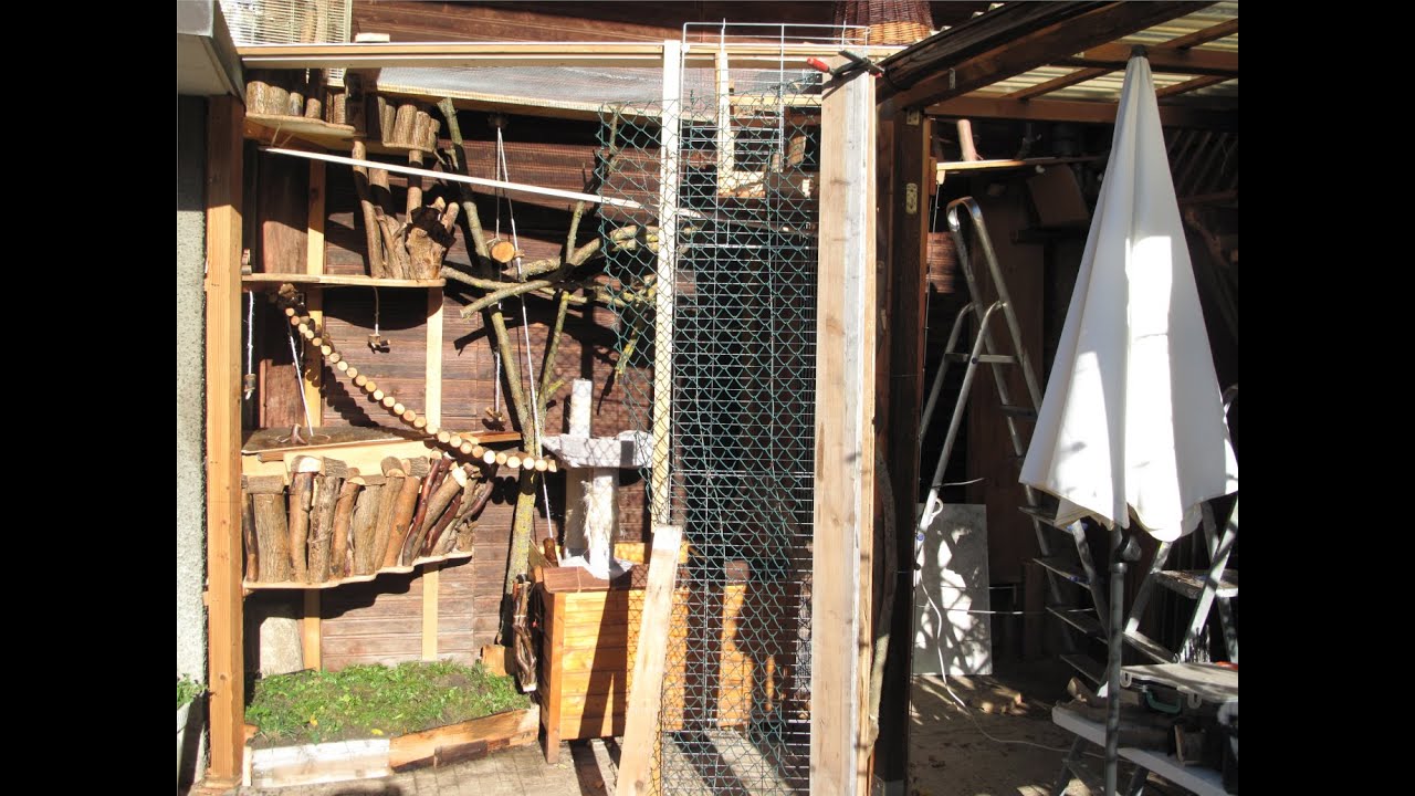 Katzengehege aus Holz bauen im Zeitraffer