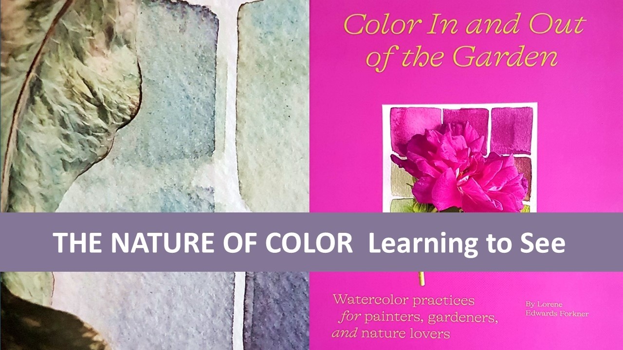 Color In And Out Of The Garden by Lorene Edwards Forkner | Art Book Review