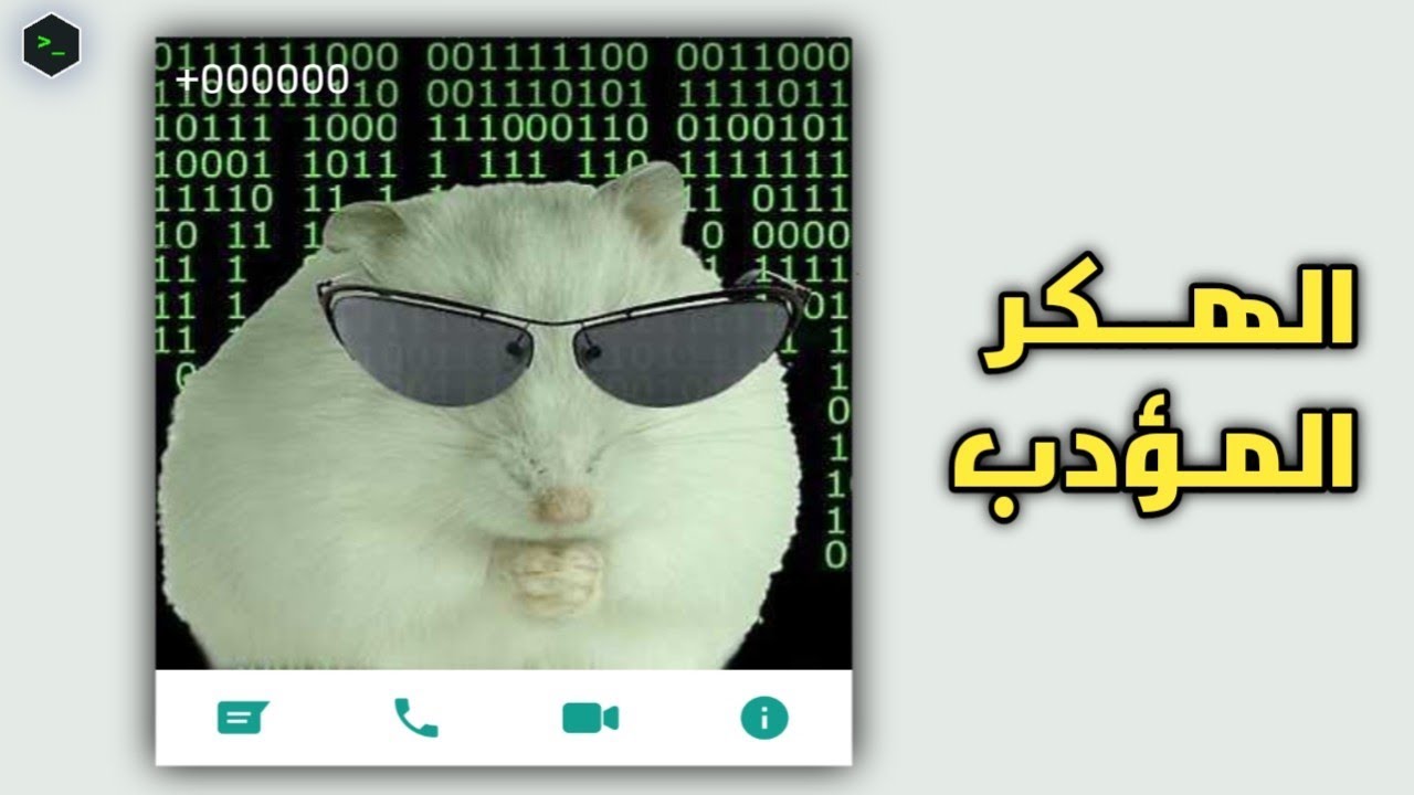 هذا أغرب هكر رأيته في حياتي 😤
