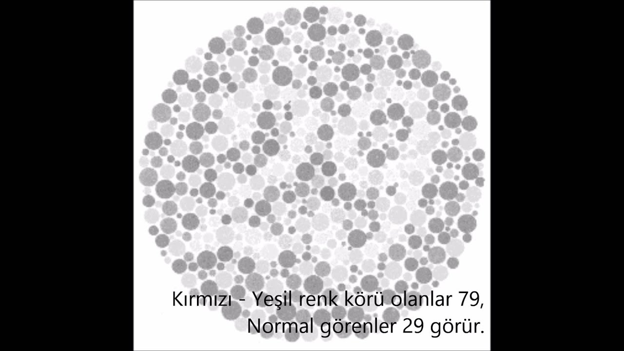 Renk Körlüğü Testi (Karşıt Renkleriyle)