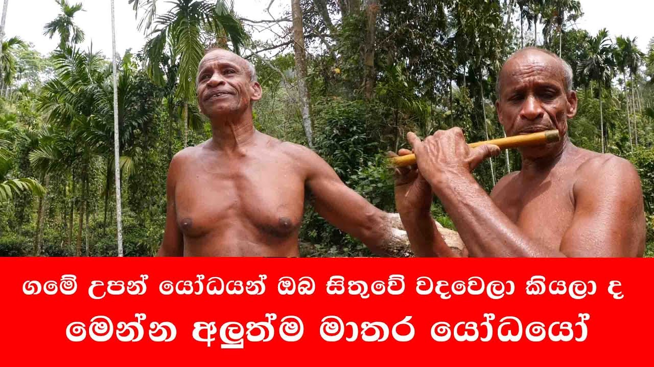 සැගවුණු මාතර යෝධයන්ගේ කතාව
