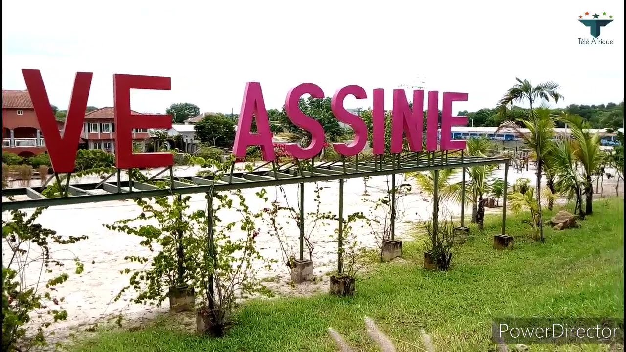 ASSINIE MAFIA