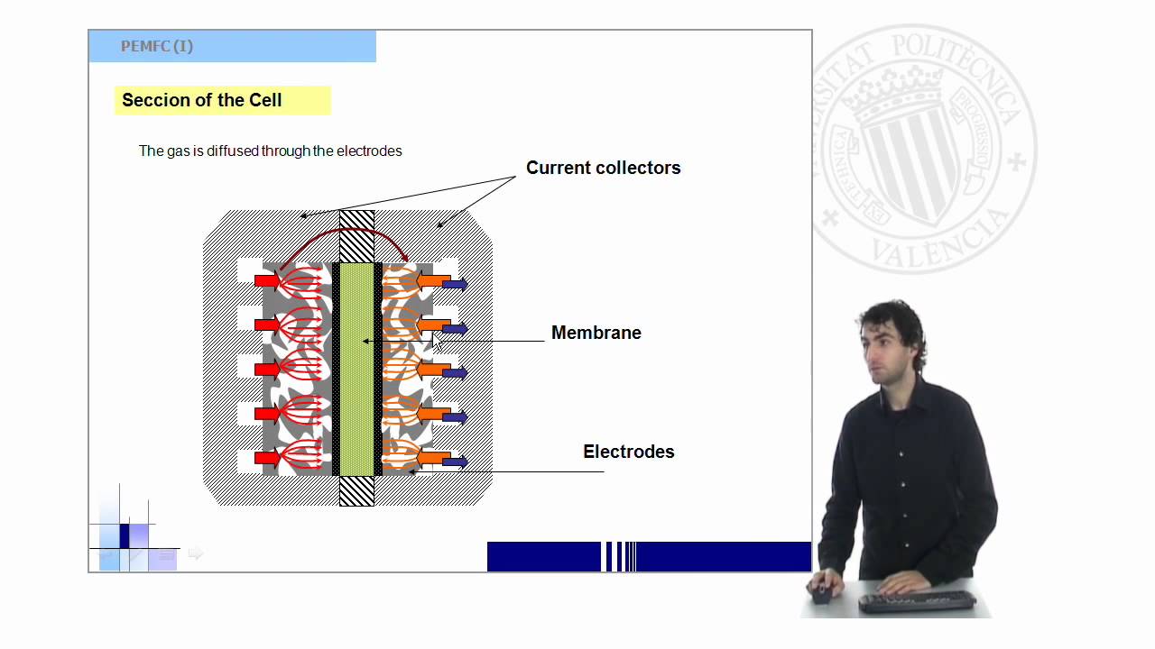 Proton Exchange Membrane Fuel Cells | 6/14 | UPV