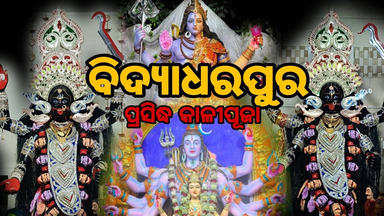 ବିଦ୍ୟାଧରପୁର ପ୍ରସିଦ୍ଧ କାଳୀପୂଜା 2025 || Bidyadharpur Kalipuja || Bidyadharpur Kalipuja 2025