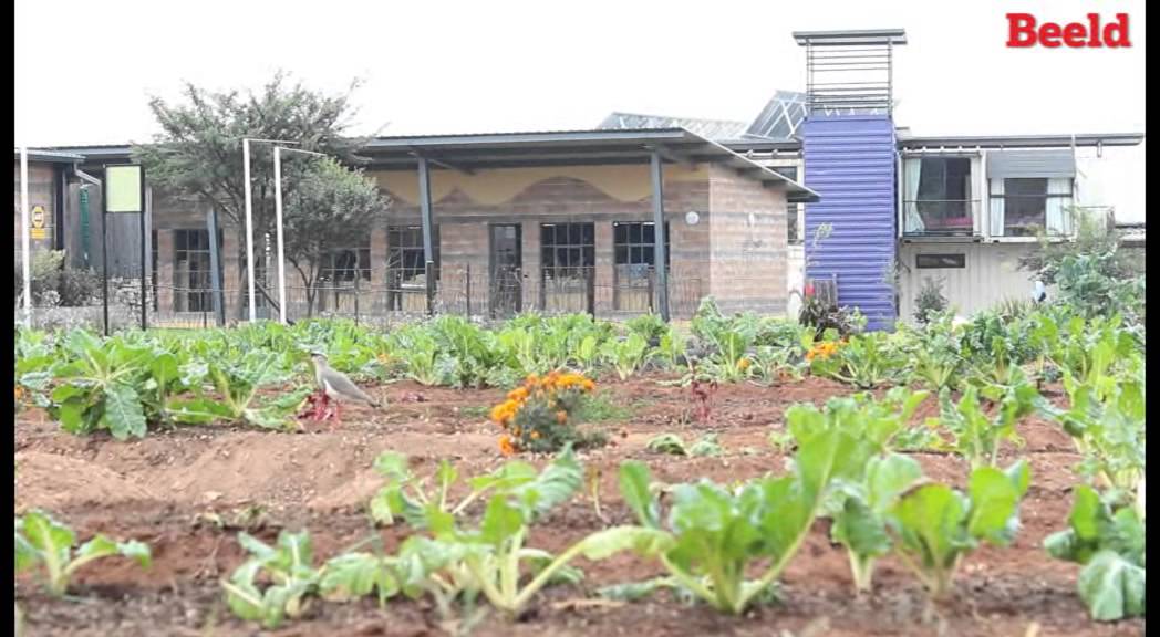 Kinderhuis in 28 skeepshouers