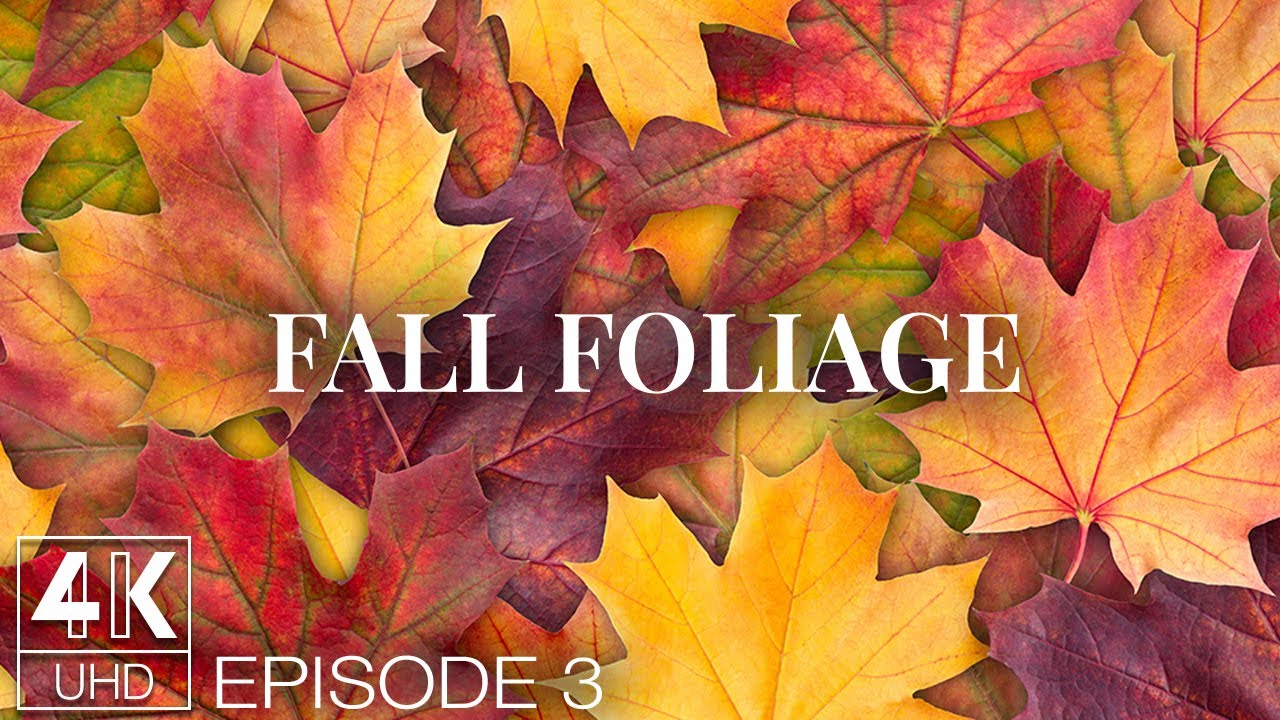 Fall Foliage in New England - 4K TV Wallpaper Slideshow with Amazing Autumn Colors - Part 3