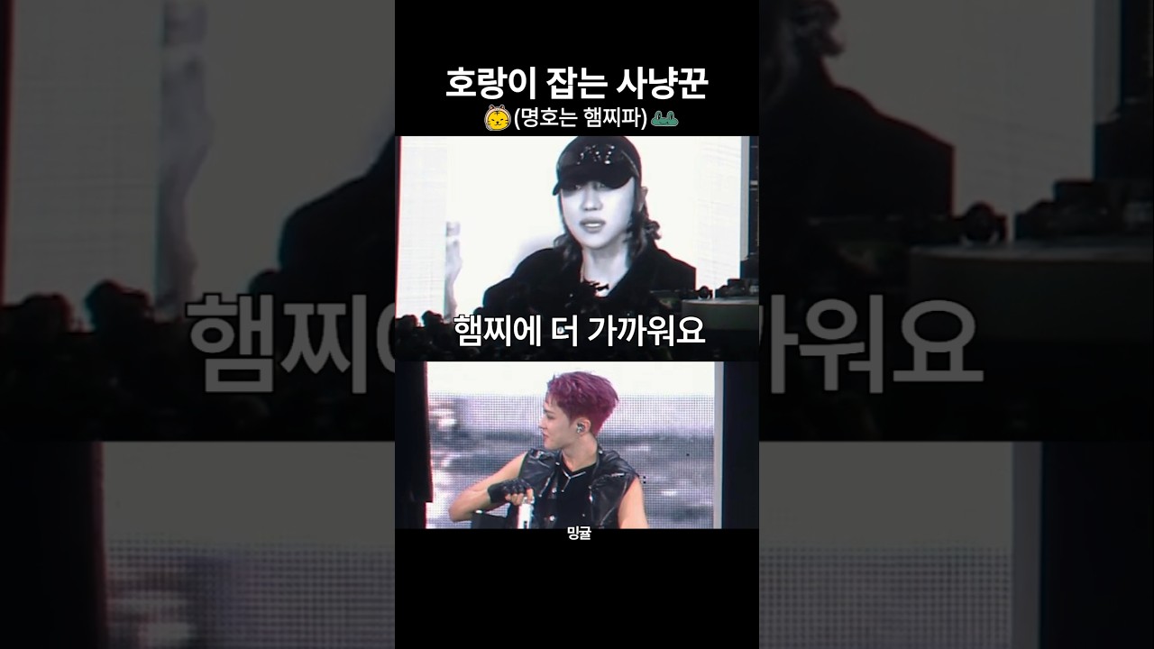 [세븐틴/호시/명호] 디에잇은 유명한 호랑이사냥꾼임